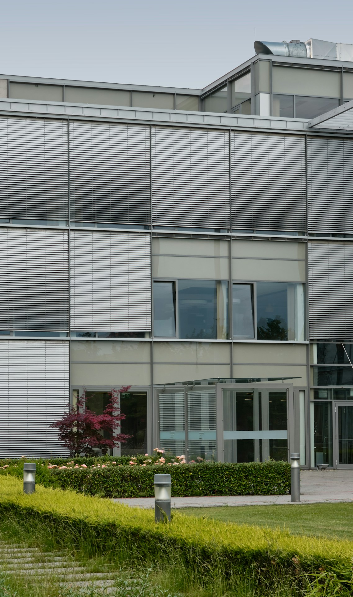 red flowers beside glass building